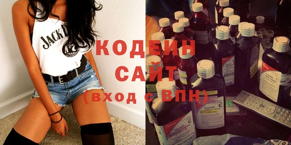 твердый Бородино