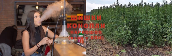 ешки Богданович