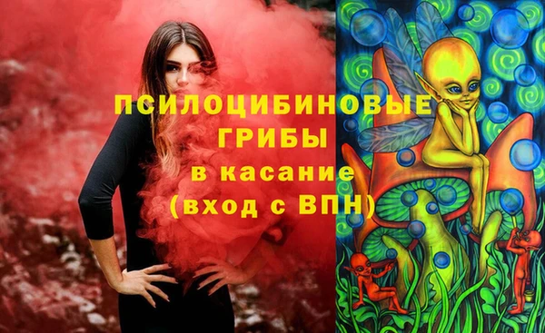 таблы Богородск