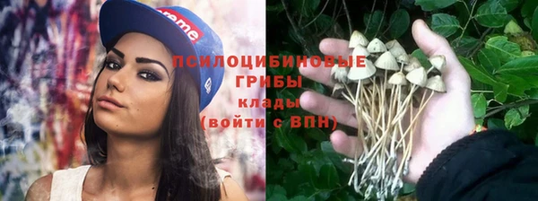 таблы Богородск