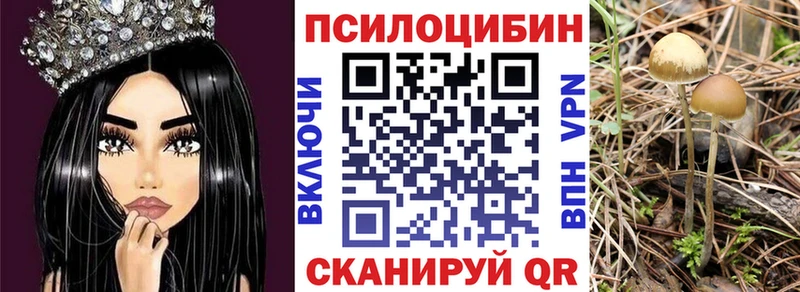 блэк спрут ССЫЛКА  купить  сайты  Михайловка  Псилоцибиновые грибы мухоморы 